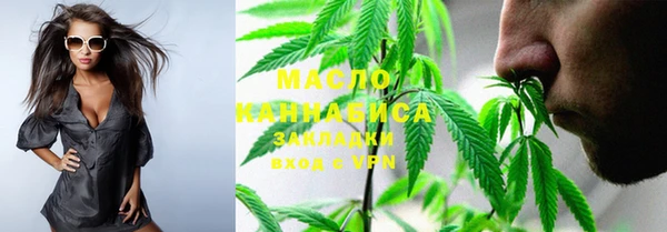индика Наволоки