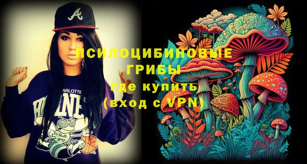 индика Наволоки