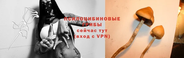 индика Наволоки