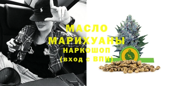 индика Наволоки