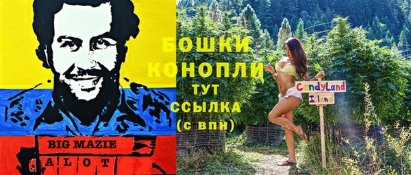 spice Верхний Тагил
