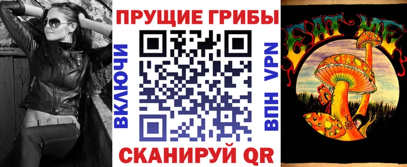 hydra ссылки  Корсаков  Псилоцибиновые грибы GOLDEN TEACHER 