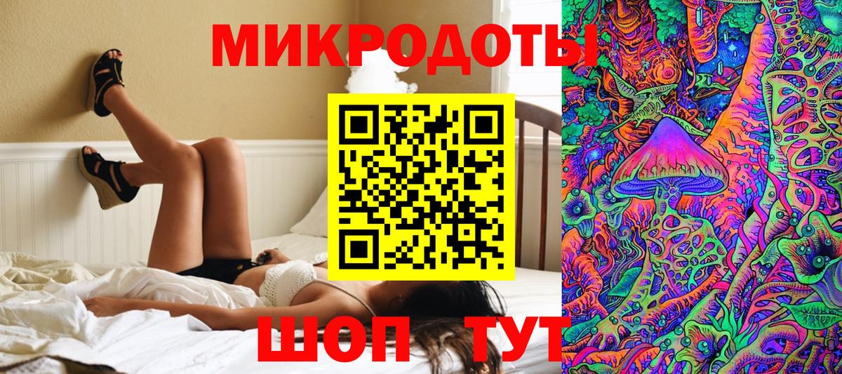 Псилоцибиновые грибы Psilocybe Корсаков