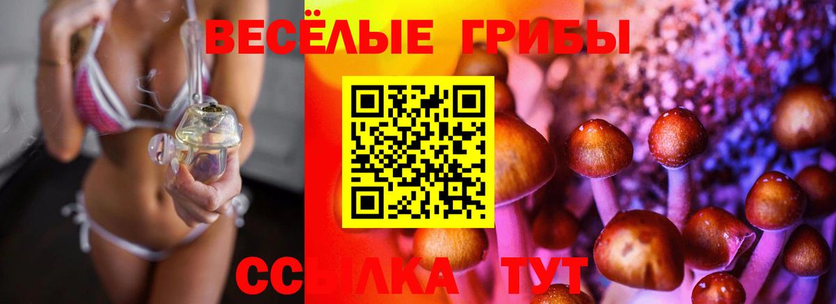 Галлюциногенные грибы Magic Shrooms  Корсаков 