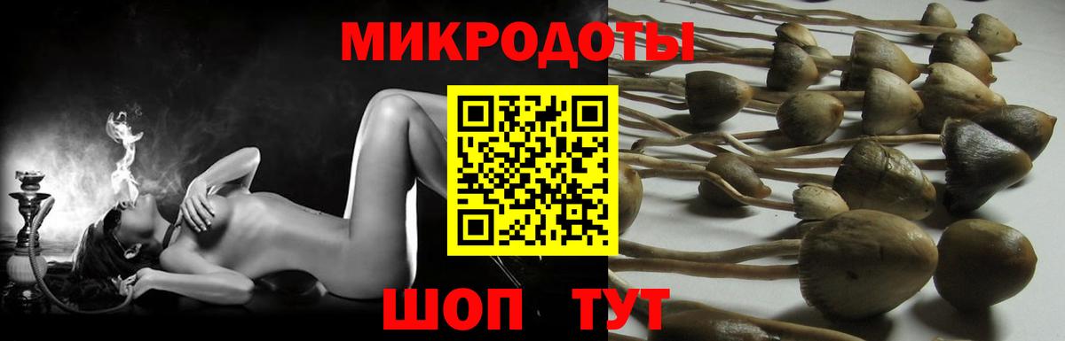 Галлюциногенные грибы Psilocybine cubensis  купить  цена  Корсаков  Вход с VPN  Псилоцибиновые грибы прущие грибы 